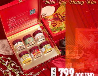 Quà tết mẫu số 11